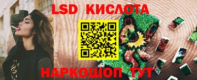 винт Донской