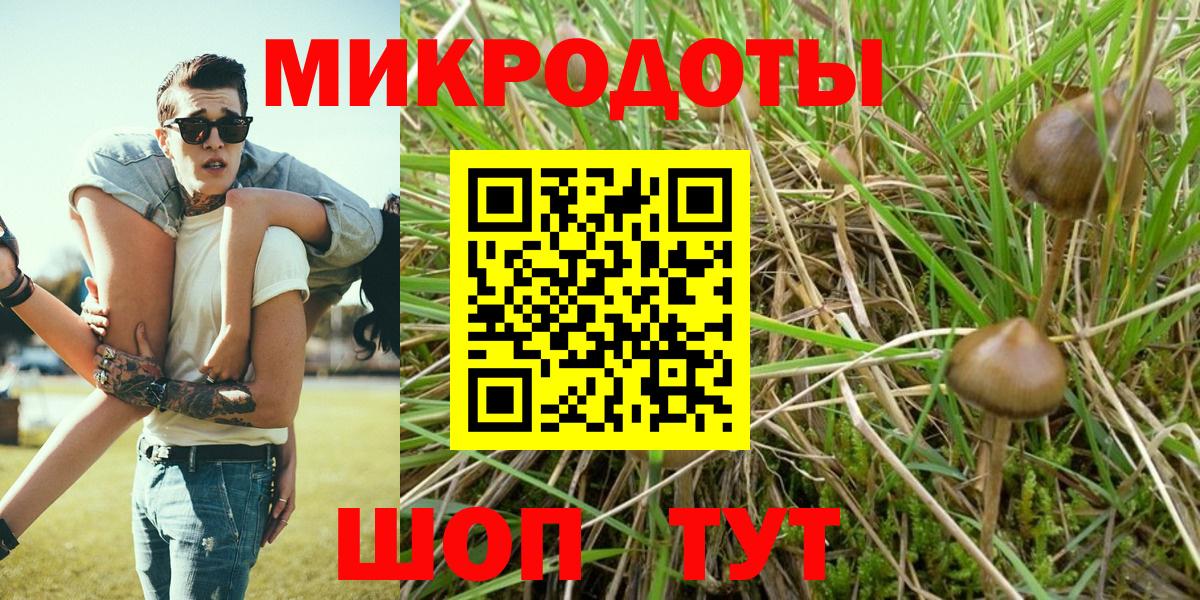 Псилоцибиновые грибы ЛСД Малгобек