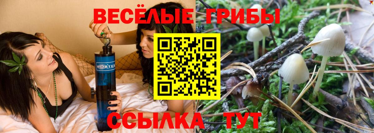 Малгобек  Псилоцибиновые грибы Psilocybe  Вход с VPN  Псилоцибиновые грибы мицелий 